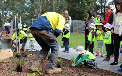 Boronia Park web news