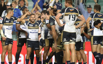Brumbies