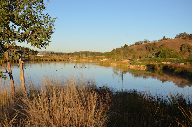 Creating Cravens Creek Ponds