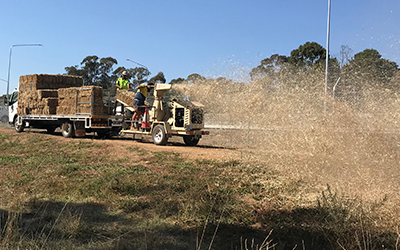 Dryland Grassing news