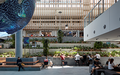 Landscape construction at Queensland University of Technology Education Precinct