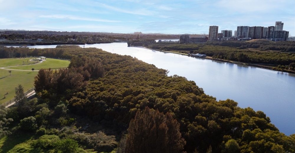 DJI_0400-Edit-2-Small