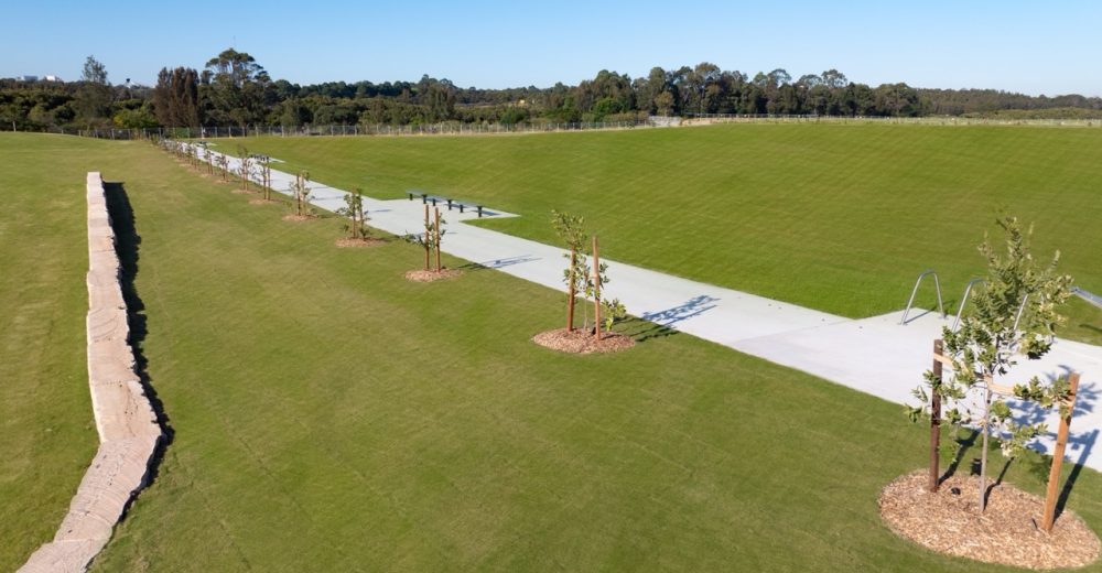 DJI_0453-Edit-2-Small