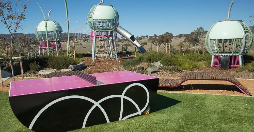 Gymnut-Playground-Image-1