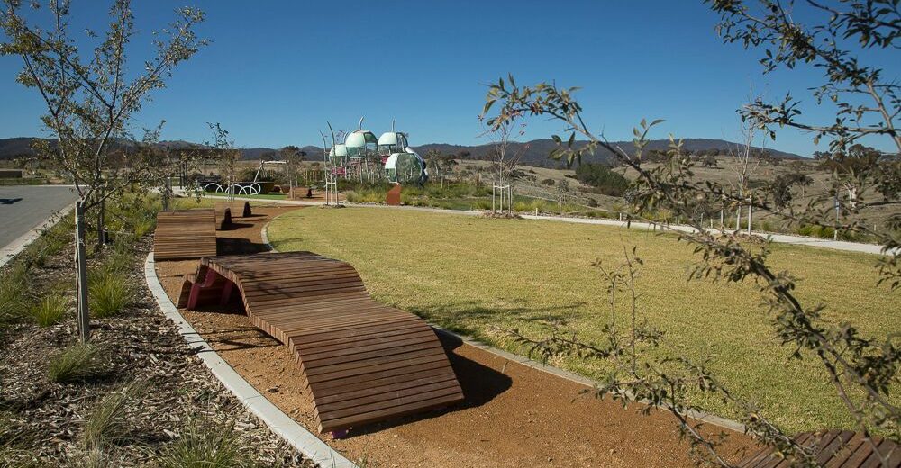 Gymnut-Playground-Image-2
