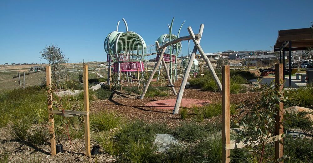 Gymnut-Playground-Image-4
