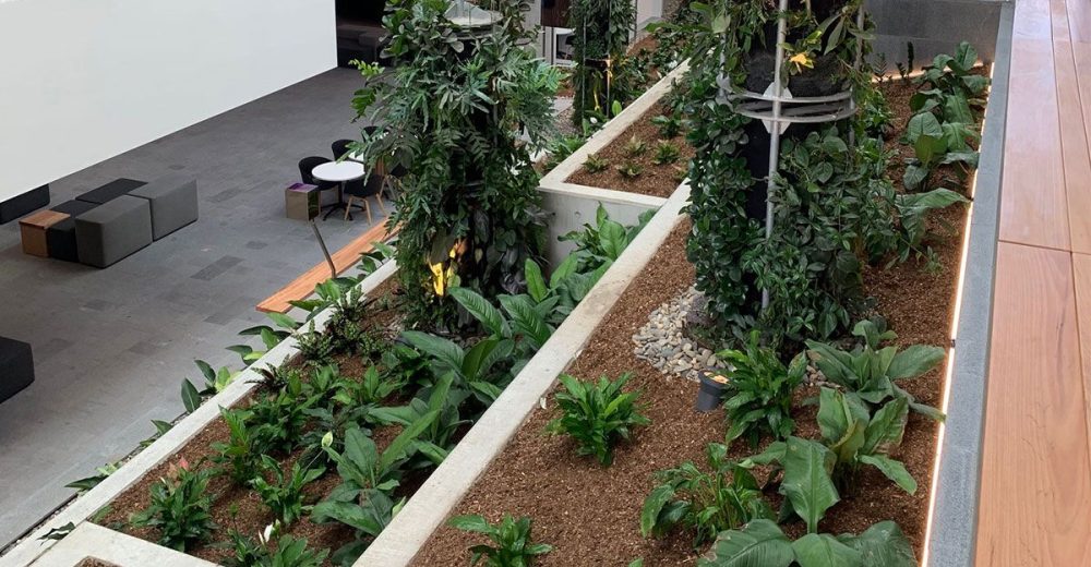 Queensland-University-of-Technology-Education-Precinct-3